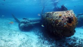 Reef Wrecks