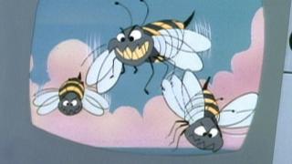 Beauty and the Beetle