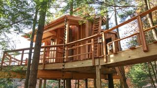 The Coolest Treehouse Ever Built The Coolest Treehouse Ever Built