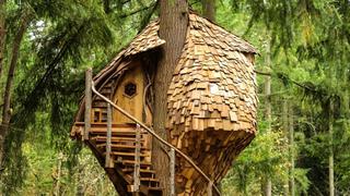 Treehive Beehive Treehive Beehive