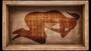 Colleen Stan: The Girl in the Box