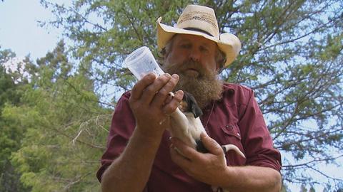 I'll Go Down Fighting