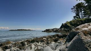 We're Not Losing a Son... We're Not Losing a Son...