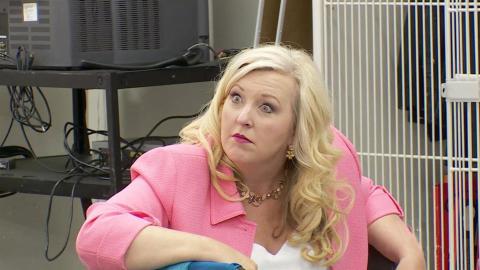 Abby, You're Fired!