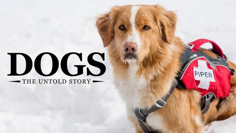 Dogs: The Untold Story