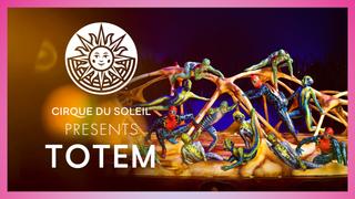 Cirque Du Soleil Presents: Totem