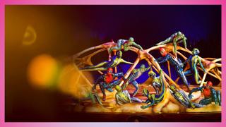 Cirque Du Soleil Presents: Totem