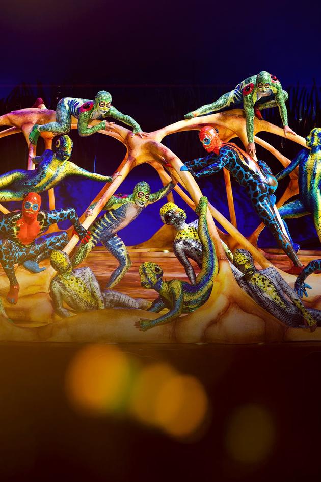 Cirque Du Soleil Presents: Totem