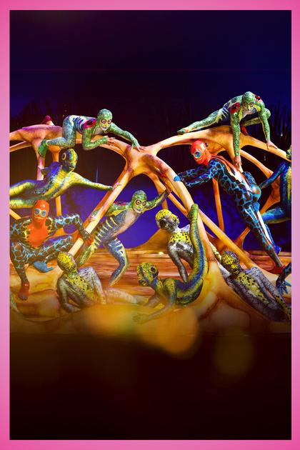 Cirque Du Soleil Presents: Totem