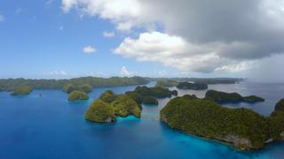 Palau Shark Sanctuary