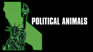 Political Animals