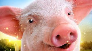 Arlo: The Burping Pig