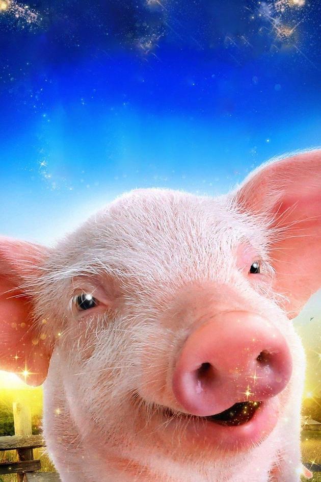 Arlo: The Burping Pig