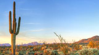 Desert Heartlands Desert Heartlands