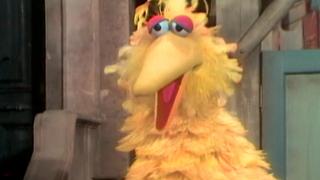 Granny Bird Visits Granny Bird Visits