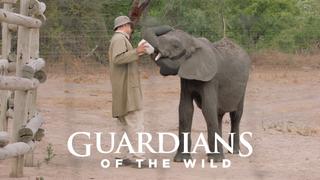 Guardians of the Wild