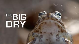 The Big Dry