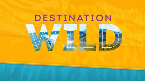 Destination Wild
