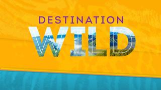 Destination Wild