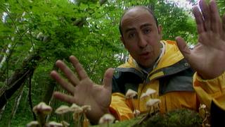 The Edible Road Show