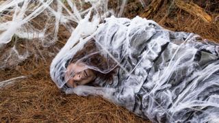 The Brokenwood Mysteries