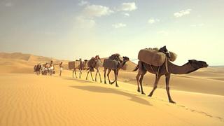 Secrets of Ancient Egypt Secrets of Ancient Egypt