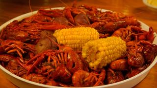 Cajun Country Cajun Country