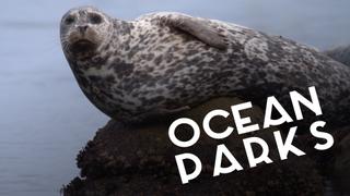 Ocean Parks