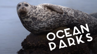 Ocean Parks