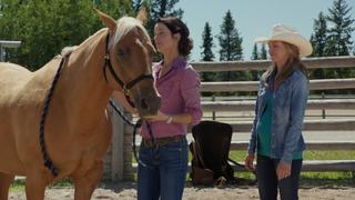 Heartland
