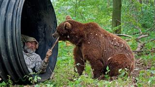 Teenage Bears Teenage Bears