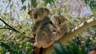 Land Down Under Land Down Under