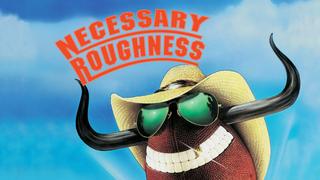  watch Necessary Roughness