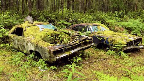 A Fly in the Ointment