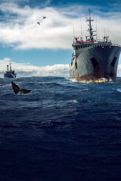 Ocean Warriors
