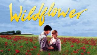 Wildflower