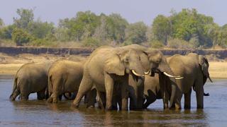 Elephant Valley Elephant Valley