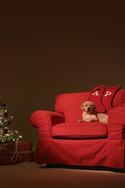 Super Cute Yule Log