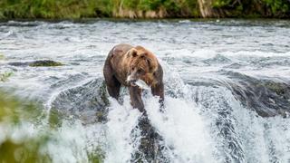 World's Wildest City: Anchorage