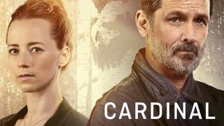  watch Cardinal