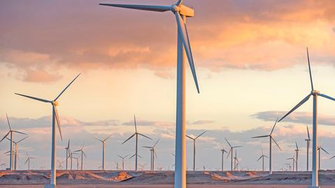 Wind Turbines, Car Tires, Mushrooms