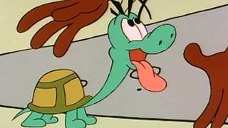 The Dog the Turtle Story