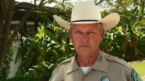 Gator vs. Game Warden
