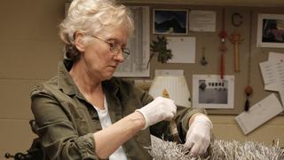 Salt Lake City Hour 2 Salt Lake City Hour 2