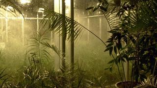 Climate Change and Me Climate Change and Me