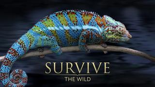 Survive the Wild