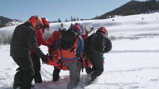 Swoop and Scoop Swoop and Scoop