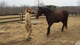 Animals Stealing Hats Versus Stilts, in the Background, and Scares