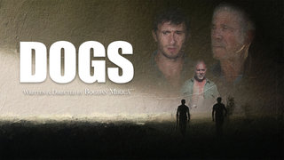 Dogs