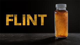  watch Flint